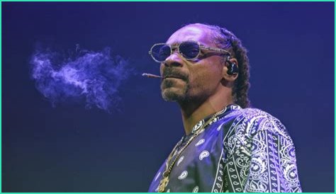 Is Snoop Dogg A Criminal? Uncovering The Truth Behind The Legend